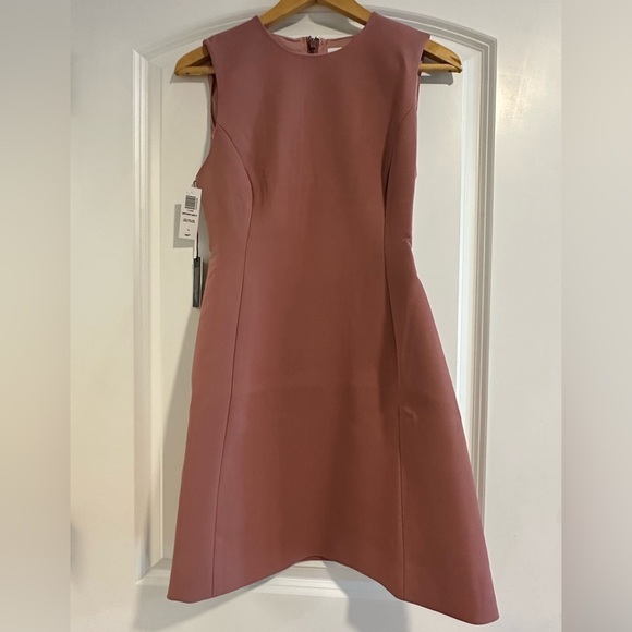 NWT *PINK* Babaton Opportunity Hourglass Mini Dress Red Willow Aritzia size 0 - Picture 9 of 10